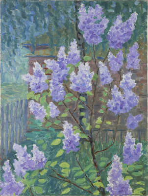 Соколова Ираида Владимировна. Куст сирени